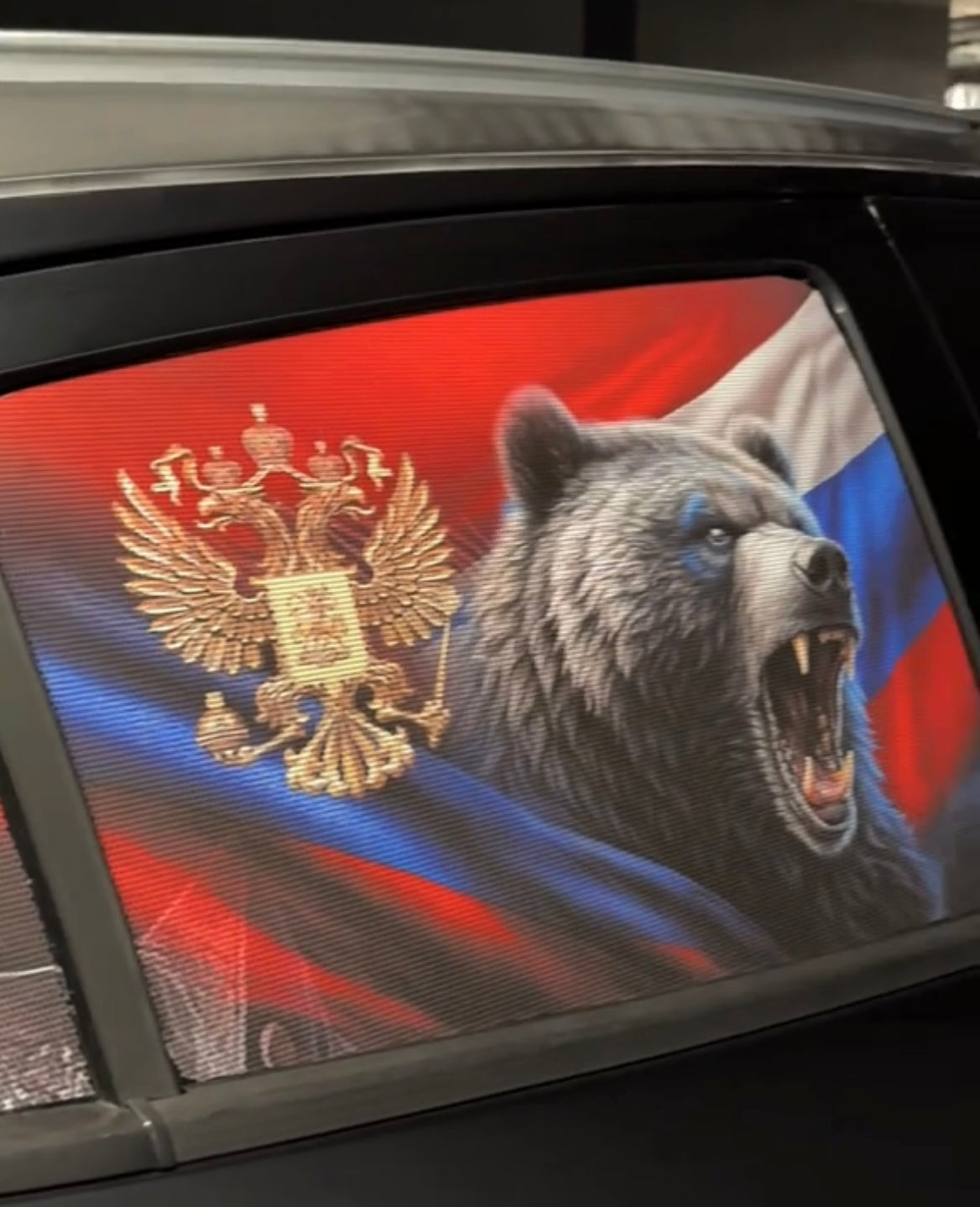 Animal Car Window Decals