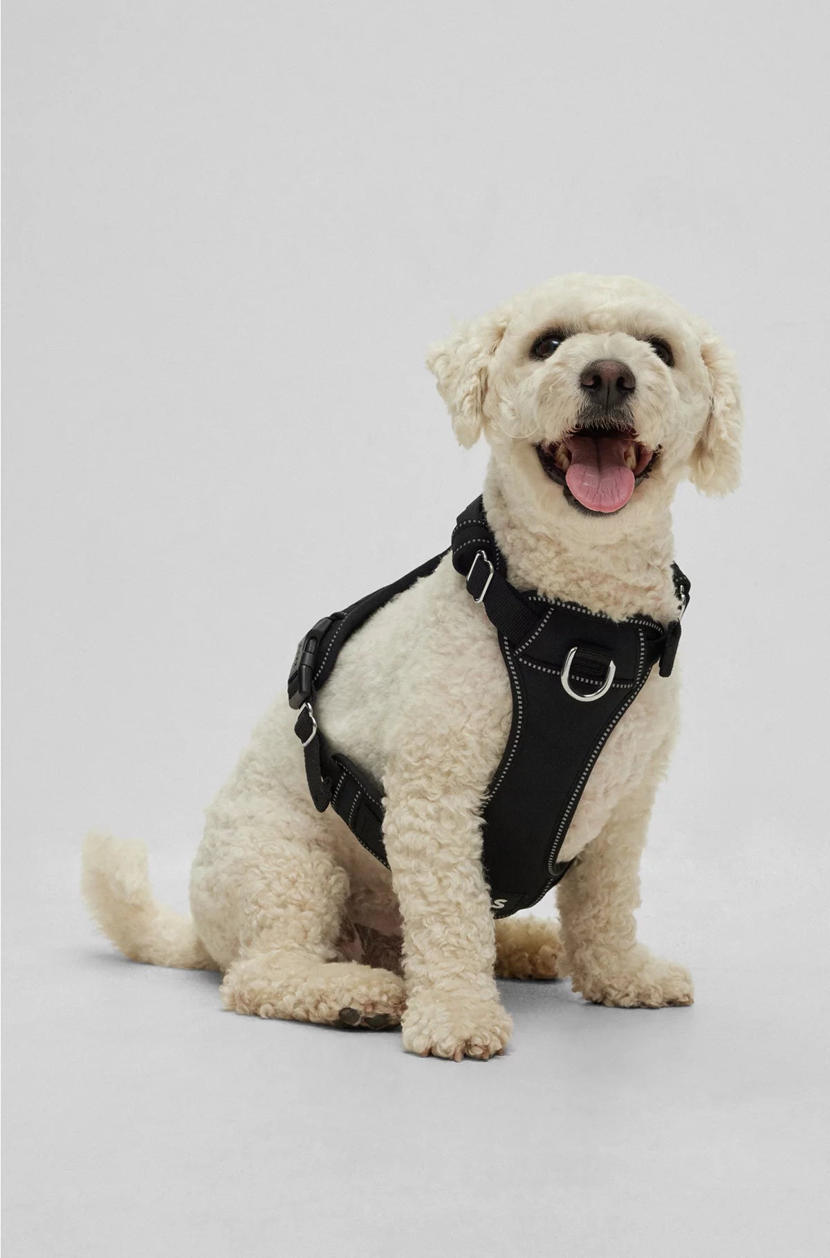 DOG HARNESS WITH PADDING