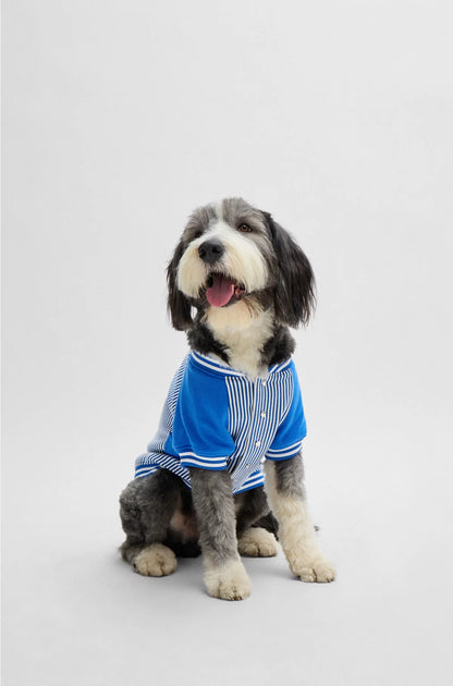 DOG BOMBER JACKET WITH EMBROIDERED LOGO