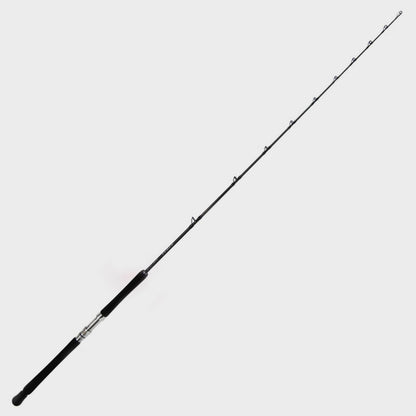 2019 Terez Casting Rods